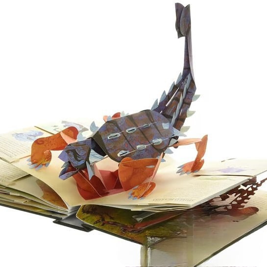 ⏰Precio mínimo histórico: Ahorre 50%-🦖3D Enciclopedia Prehistórica Dinosaurios📙HARDCOVER (🔥BUY 2 ENVÍO GRATIS）