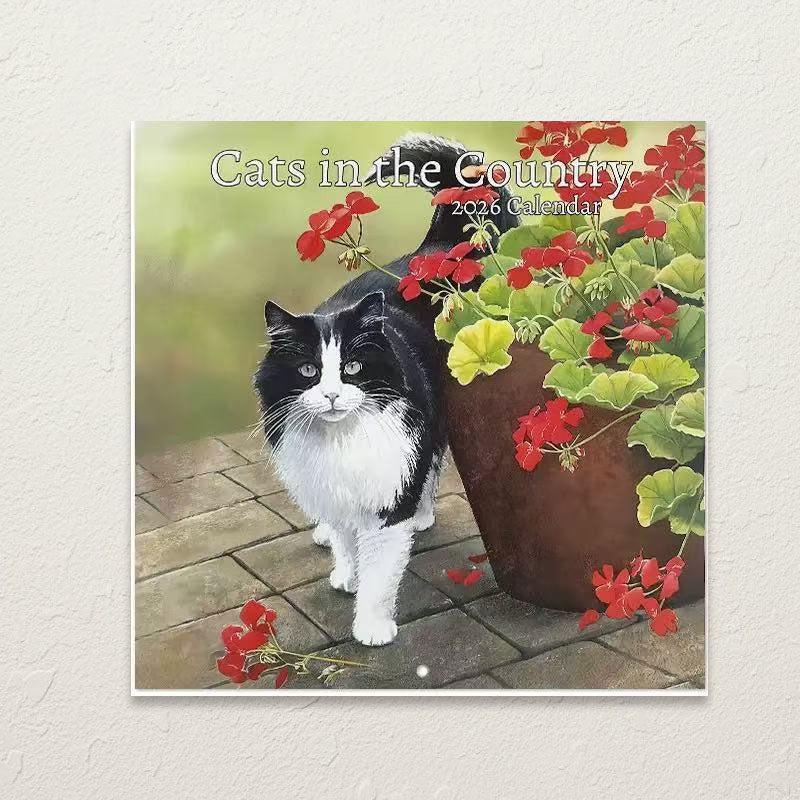 🐾 Katt- & hundekalender 2026 | Søte dyremotiver 🐶