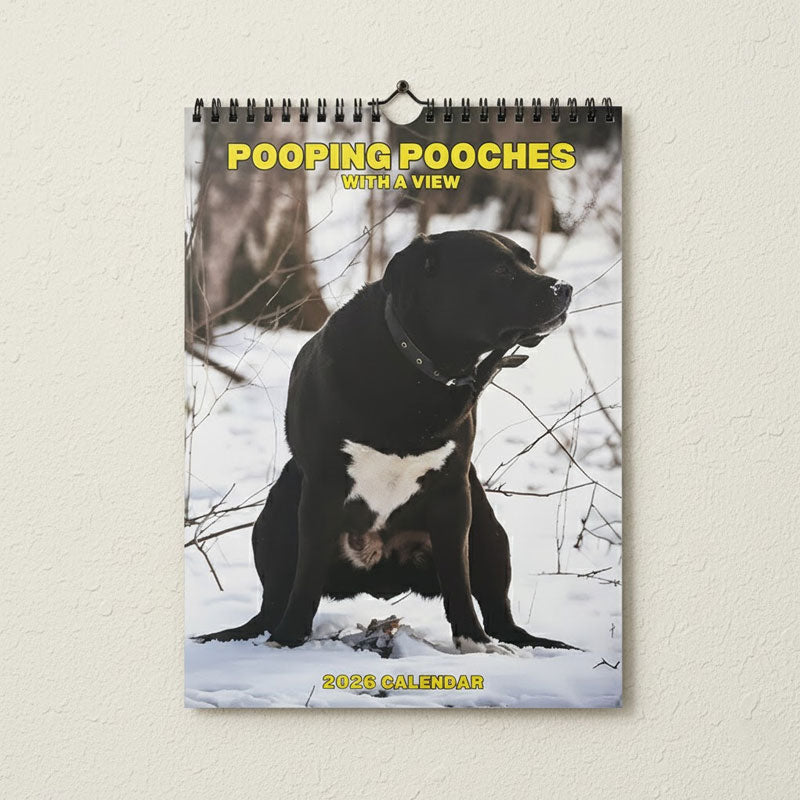 🐾 Katt- & hundekalender 2026 | Søte dyremotiver 🐶