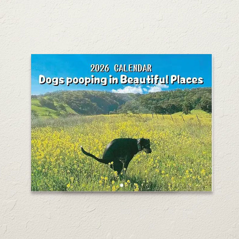 🐾 Katt- & hundekalender 2026 | Søte dyremotiver 🐶