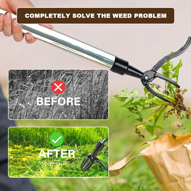 Título: ¡Crea tu propio jardín secreto en segundos! 🌿💜✨